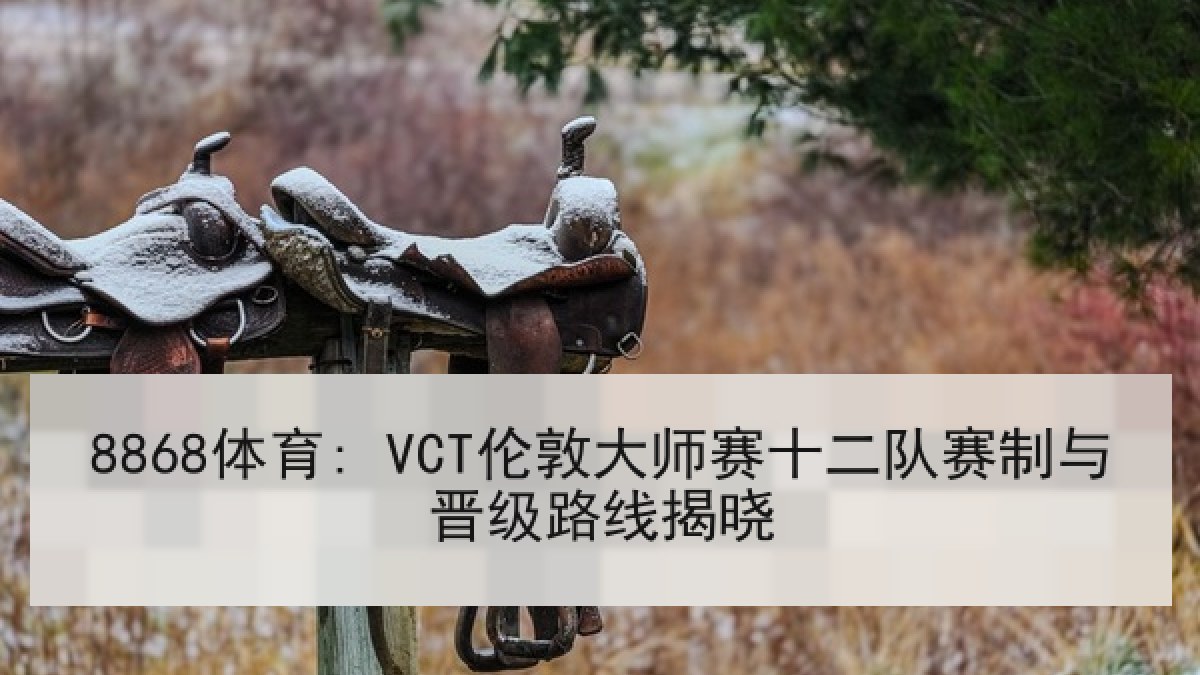 8868体育: VCT伦敦大师赛十二队赛制与晋级路线揭晓