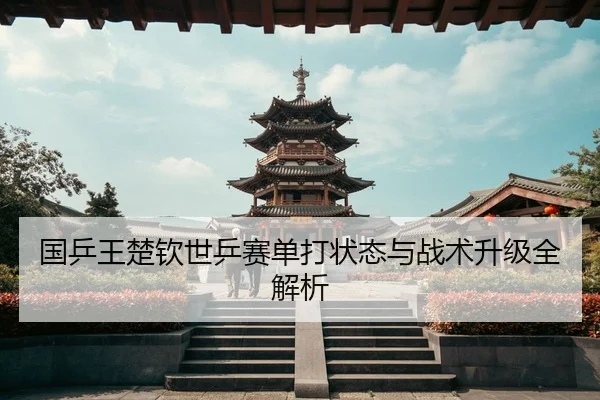 国乒王楚钦世乒赛单打状态与战术升级全解析